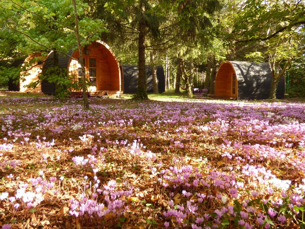 La Rossignolerie - Pod Cabanes Des Chateaux Chouzy-sur-Cisse Екстериор снимка