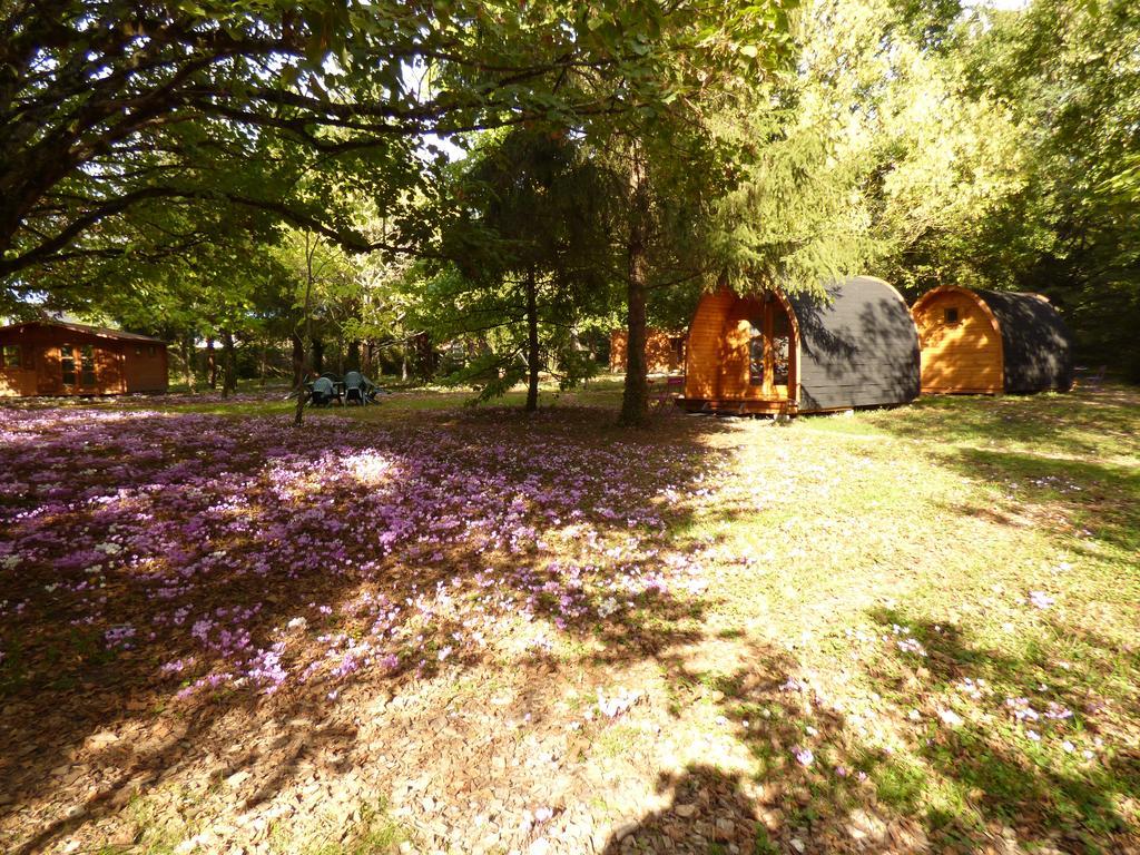 La Rossignolerie - Pod Cabanes Des Chateaux Chouzy-sur-Cisse Екстериор снимка