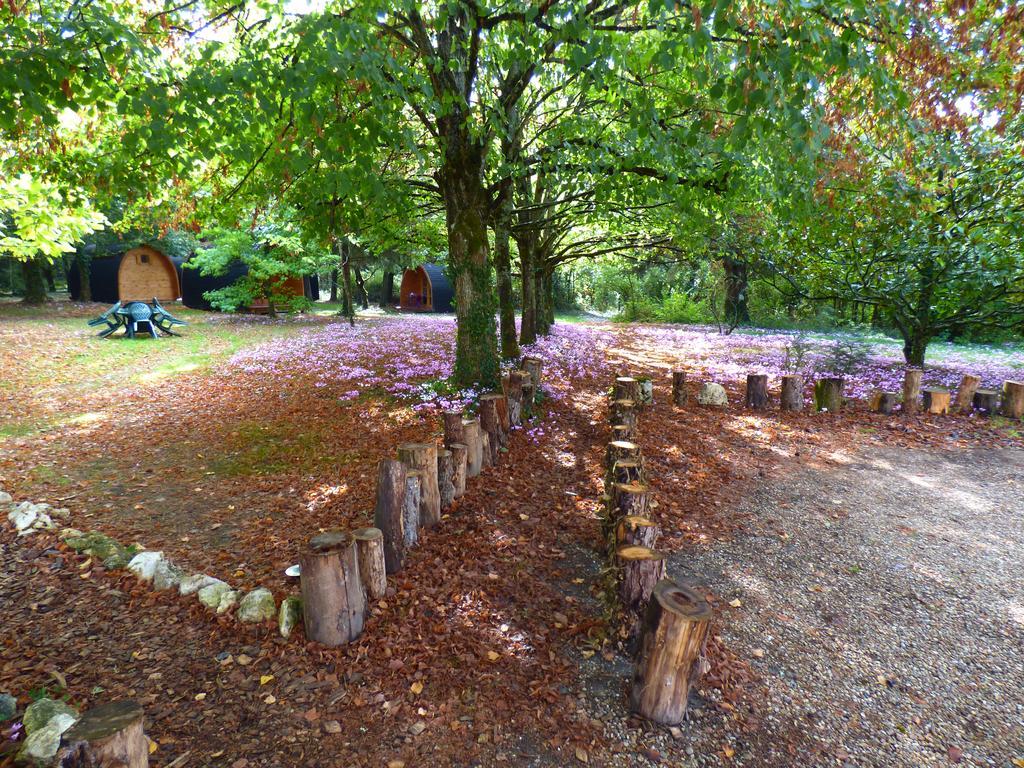 La Rossignolerie - Pod Cabanes Des Chateaux Chouzy-sur-Cisse Екстериор снимка